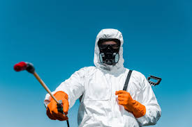  Buena Vista, CO Pest control Pros